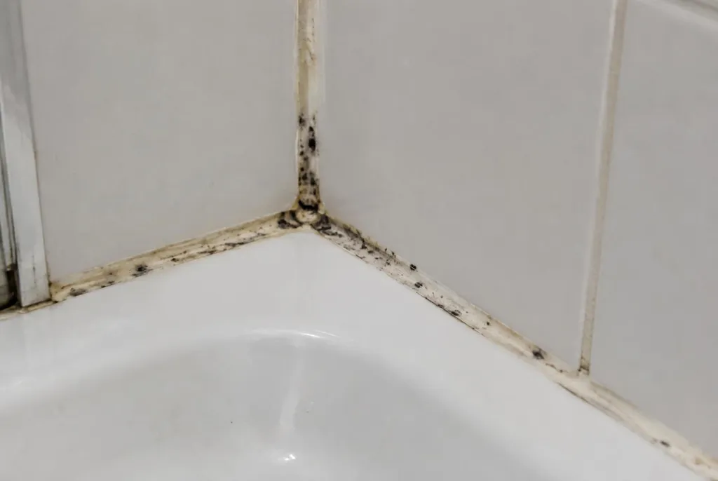 Kitbedrijf Nootdorp – beschimmelde kitranden